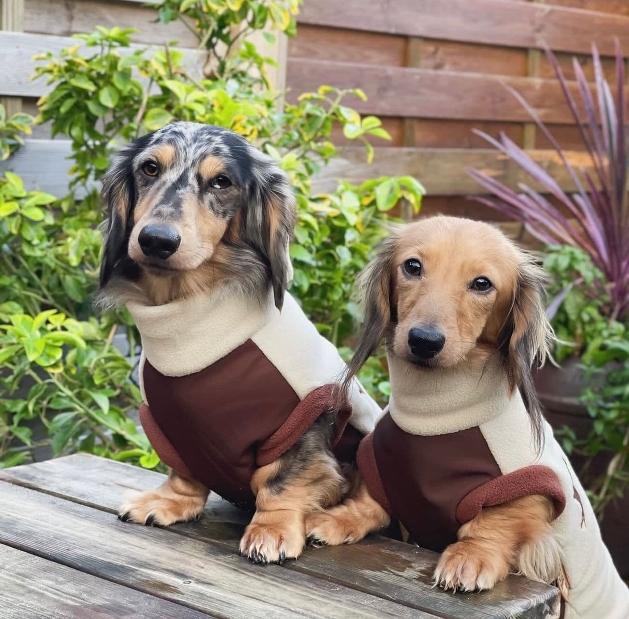 Alice & chloe - Alice & chloe